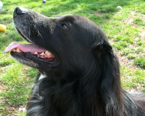 Rocky3-JPEG (4-1-00)