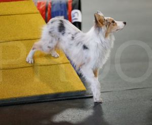 Micah (April 2, 2017) - Two on-Two off