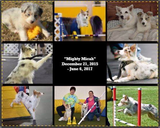 Canvas (June 18, 2017) - Remembering