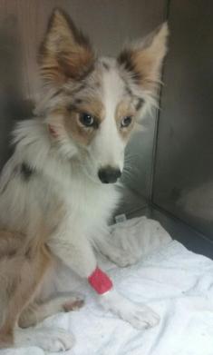 Micah (May 18, 2017).jpg