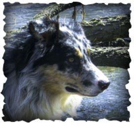 Han (Kaiden's Father)