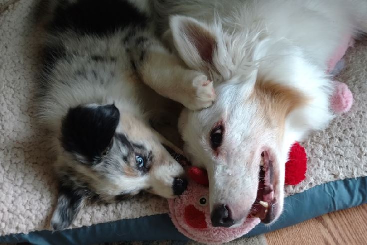 Kaiden and Lukas (7-6-17)-4