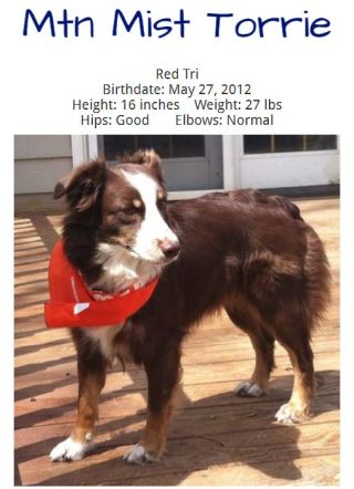 Mountain Mist Torrie (Kaiden's Mom)