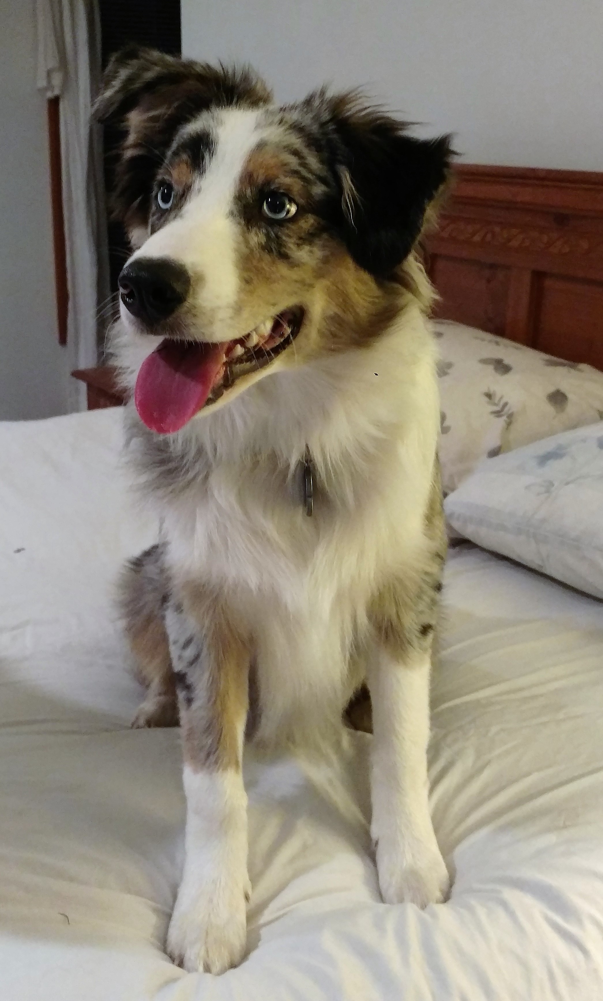 Kaiden (November 12, 2017)-6mths