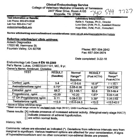 Lukas Cushing Results