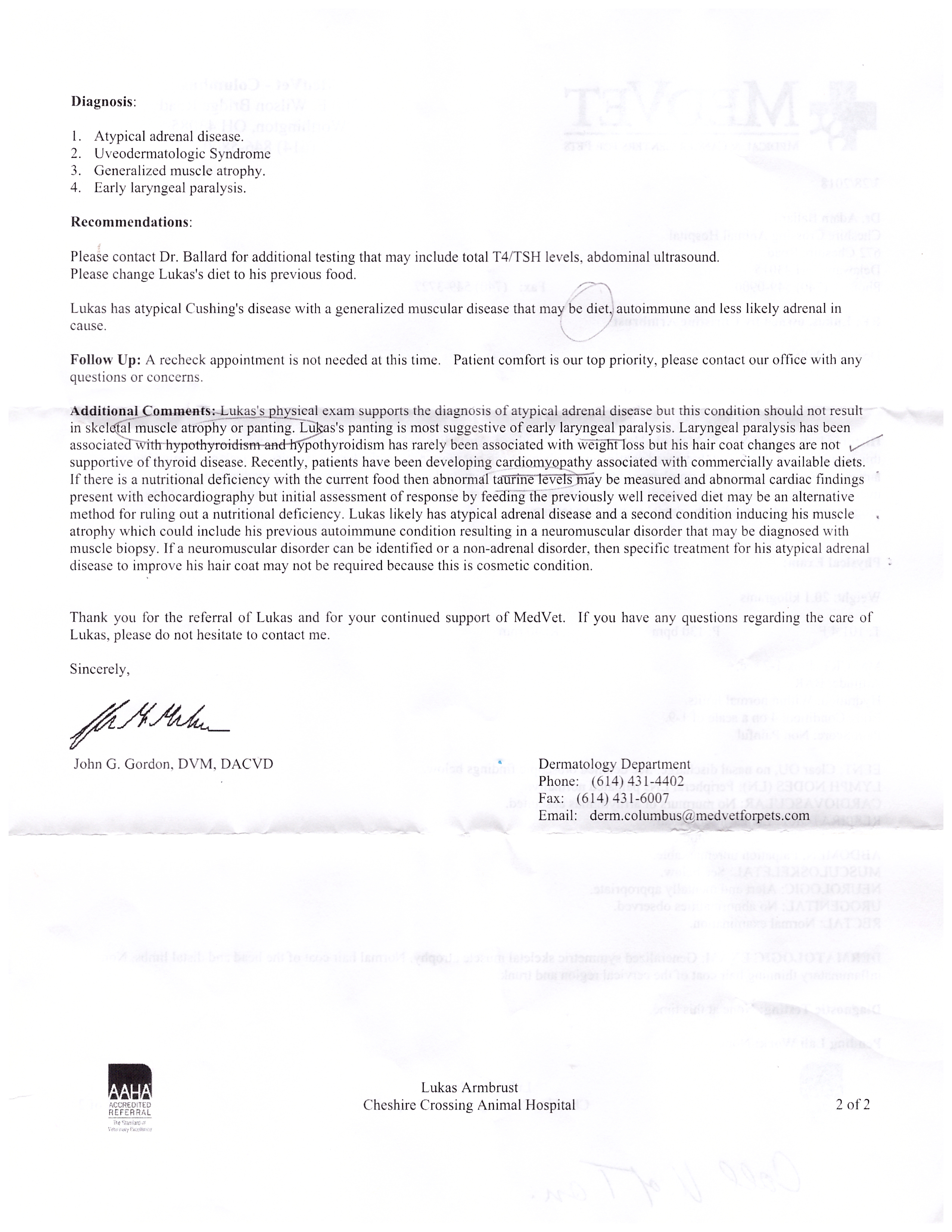 Lukas (From MedVet) - Dr. Gordon (March, 2018)