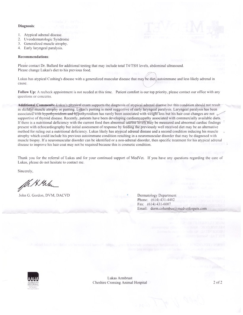 Lukas (From MedVet) - Dr. Gordon (March, 2018)