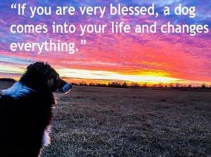 If You Are Very Blessed...
