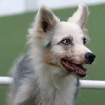 This image has an empty alt attribute; its file name is lukas3-1.jpg